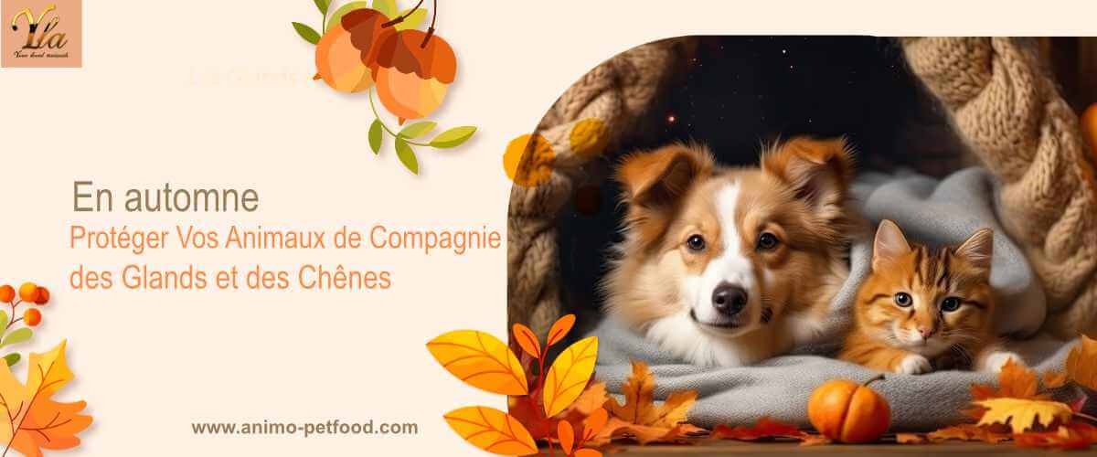 automne-proteger-vos-animaux-de-compagnie-des-glands-et-des-chenes